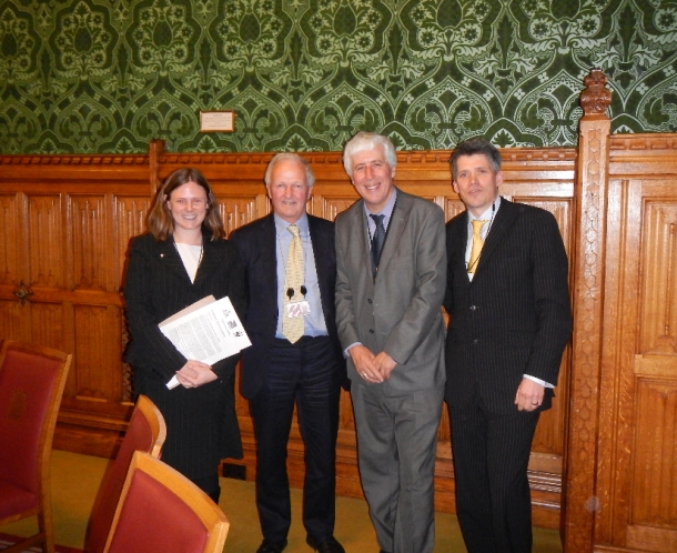 An example of a brown Siamese fighting fish. Image: Nathan Litjens
